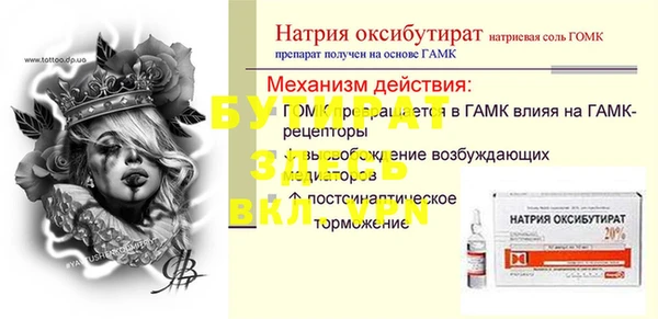 сатива Няндома
