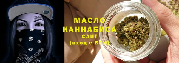 сатива Няндома