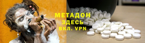 сатива Няндома