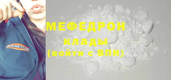 сатива Няндома