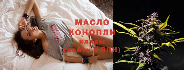 сатива Няндома