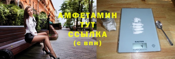 сатива Няндома