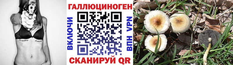 Псилоцибиновые грибы мухоморы  Алзамай 